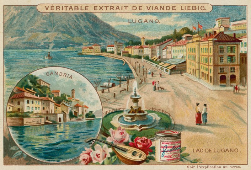 Lac de Lugano - European School
