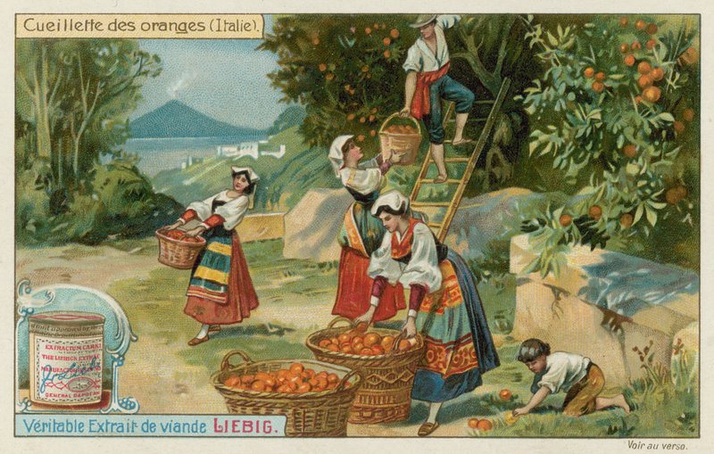 Récolte d