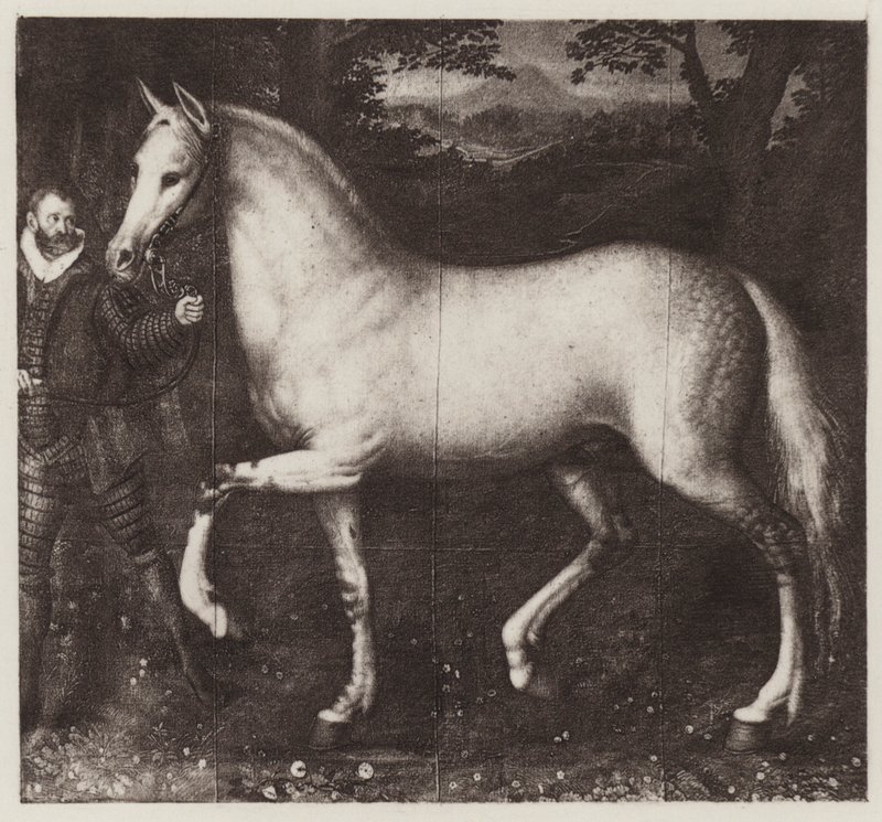 Le Cheval de la Reine Élisabeth - European School