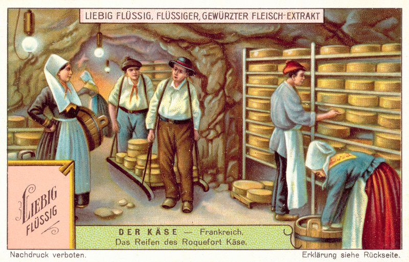 Maturation des fromages Roquefort en France - European School
