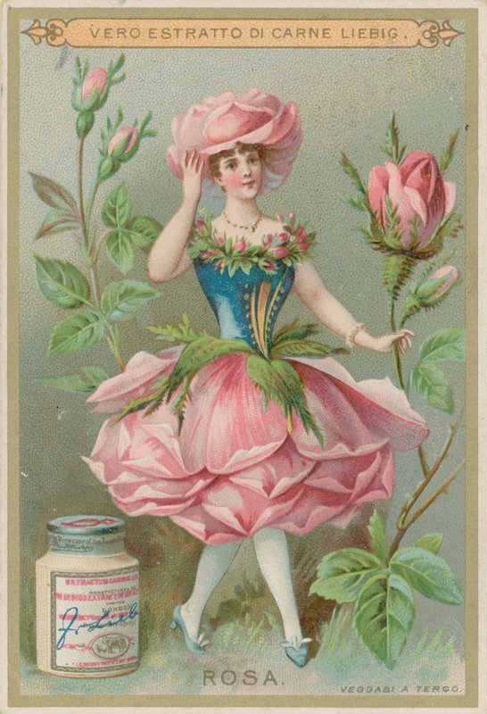 Fille aux Fleurs de Rose - European School