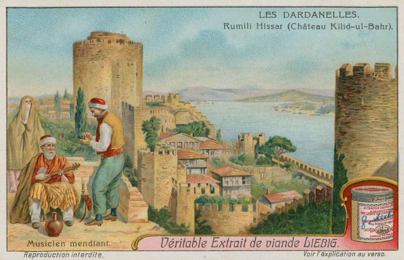Rumelihisari, Istanbul - European School