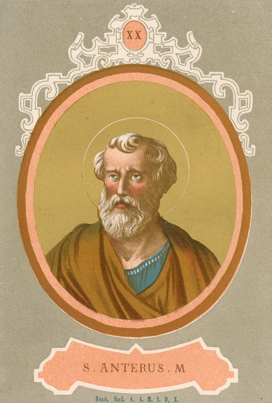 S Anterus M - European School