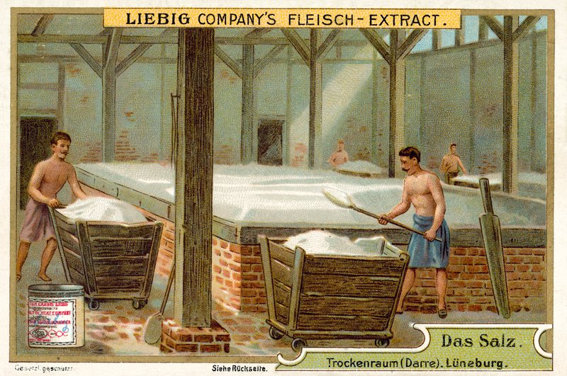 Sel : salle de séchage, Lunebourg, Allemagne (chromolithographie) - European School