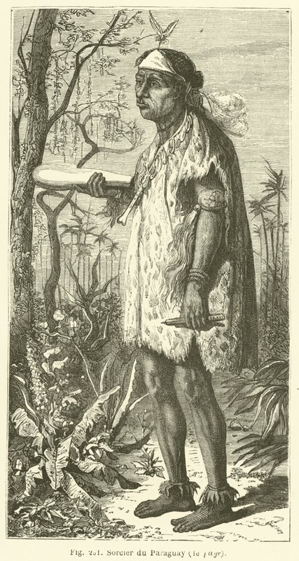 Sorcier du Paraguay - European School
