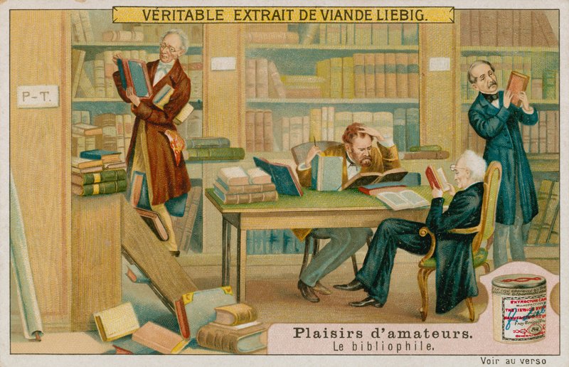 Le bibliophile amateur - European School