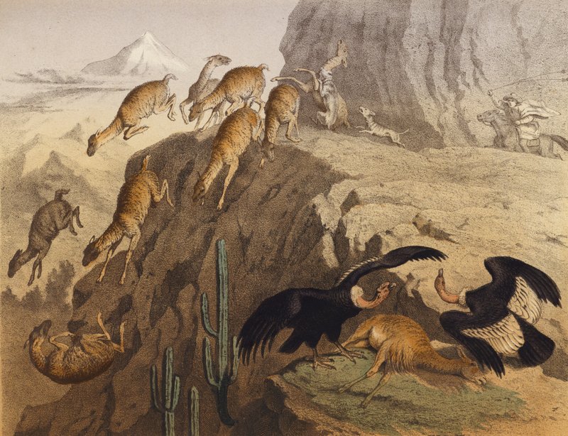 Les montagnes des Andes au Pérou - European School