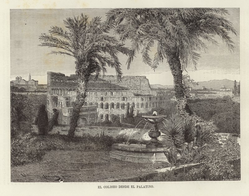 Le Colisée depuis le Palatin - European School