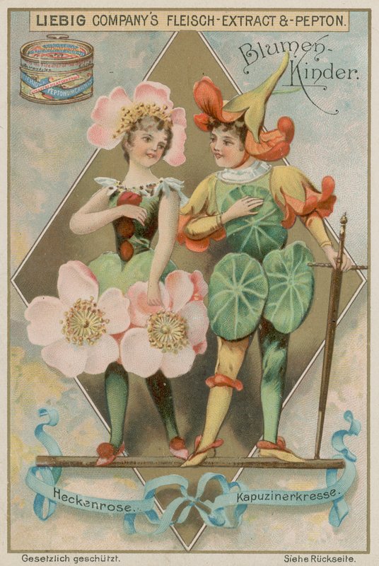 Églantine et Capucine - European School