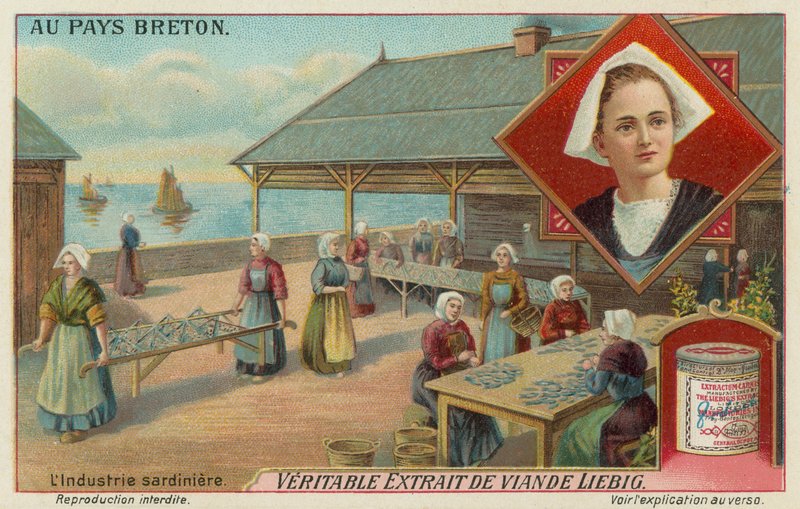 Femmes préparant des sardines - European School