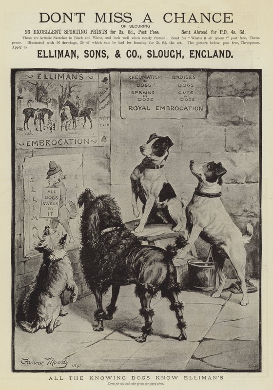 Publicité, Elliman