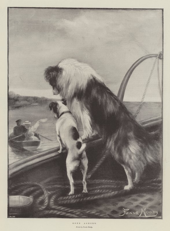 Parti à terre - Fannie Moody
