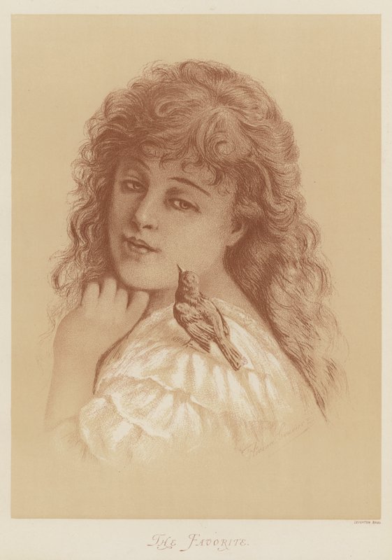 Le Favori - Florence Claxton