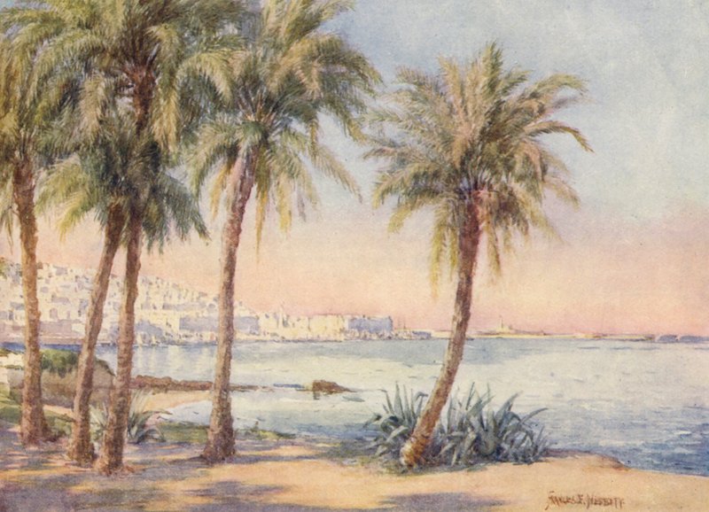 Alger depuis le Jardin d
