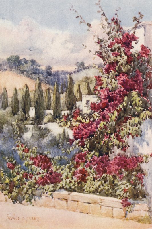 Sur mon balcon, Alger - Frances Nesbitt