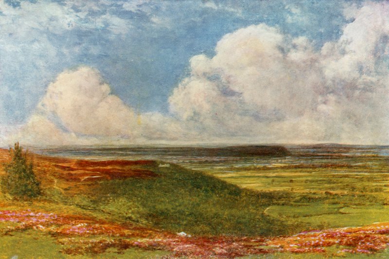 Blackdown Common - Francis S. Walker