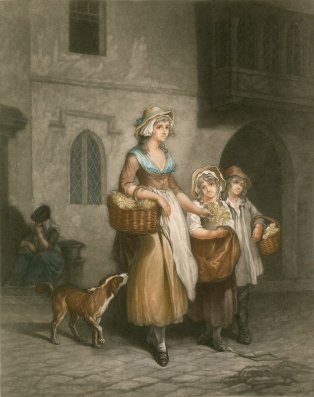 Primevères - Francis Wheatley