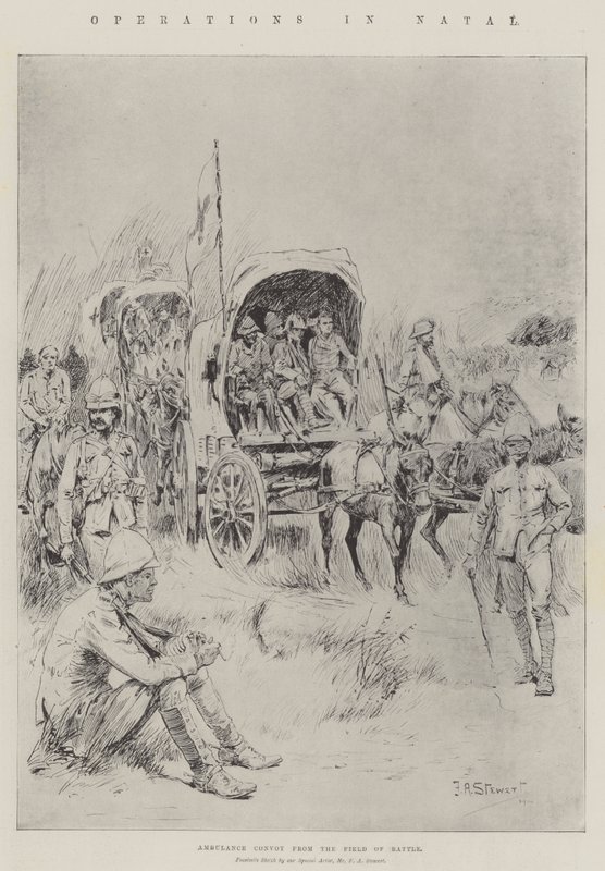 Opérations au Natal - Frank Algenon Stewart