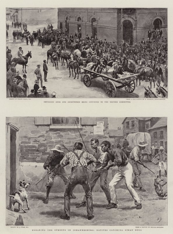 La crise du Transvaal - Frank Dadd