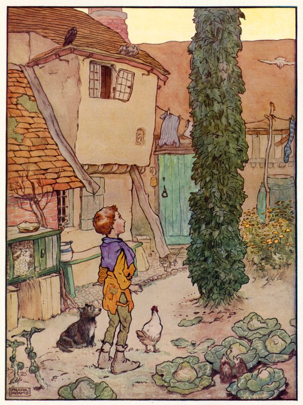 Jack et le haricot magique - Frank Adams