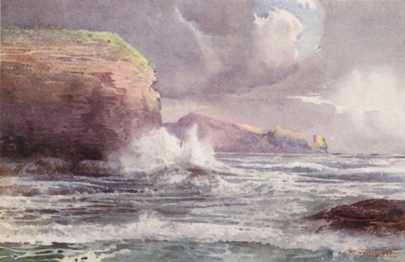 Nouvelle-Zélande : Te-Wenga - Frank H Wright