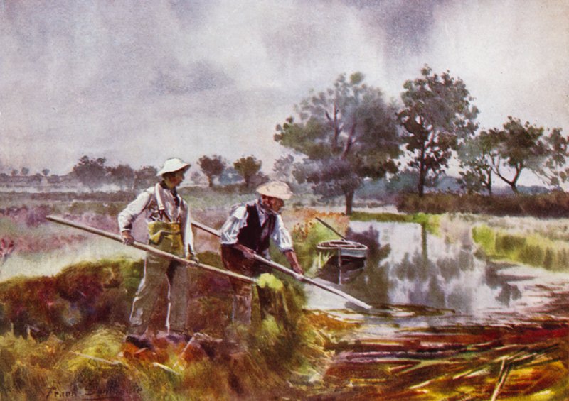 Norfolk Broads : Désherbage des marais - Frank Southgate
