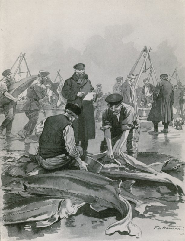 Obtenir du caviar à Astrakhan - Frederic de Haenen