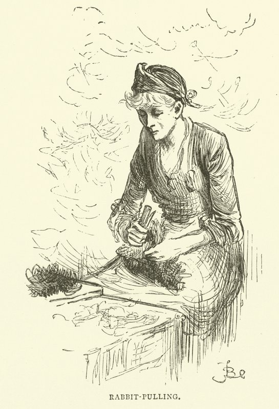 Tirage de lapin - Frederick L. Bernard