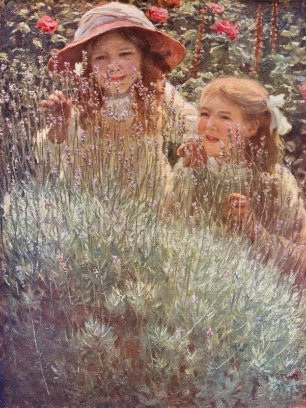 Le buisson de lavande - Frederick Stead