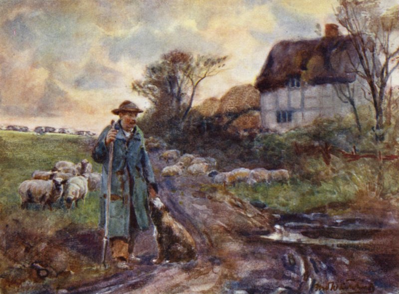 Beggarly Broom - Frederick William Newton Whitehead