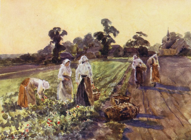 Dodging Exhall - Frederick William Newton Whitehead