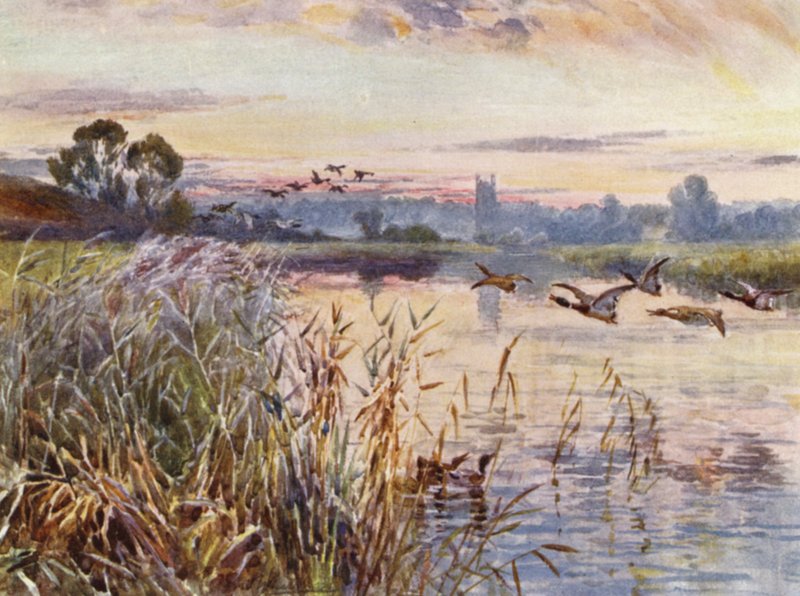 Salford Priors - Frederick William Newton Whitehead