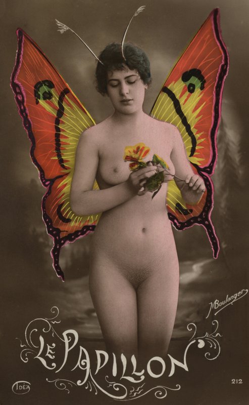 Le papillon - French Photographer