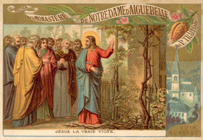Christ la Vraie Vigne - French School