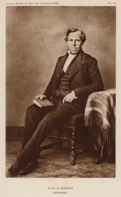 Achille Guenée, entomologiste français - French Photographer