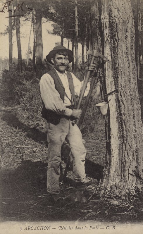 Arcachon, Resinier dans la forêt - French Photographer