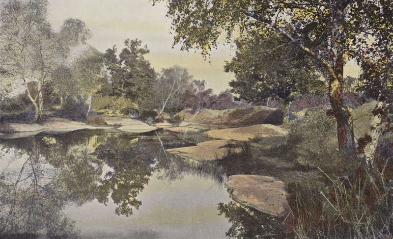 Fontainebleau, Forêt, Mare de Franchard - French Photographer