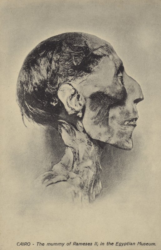 Momie de Ramsès II - French Photographer