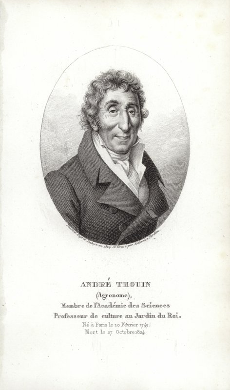 André Thouin - French School