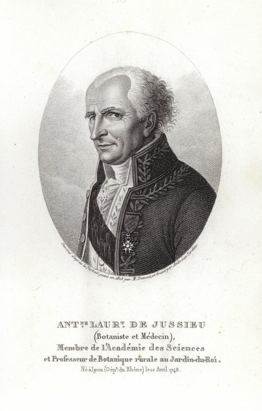 Antoine Laurent de Jussieu - French School