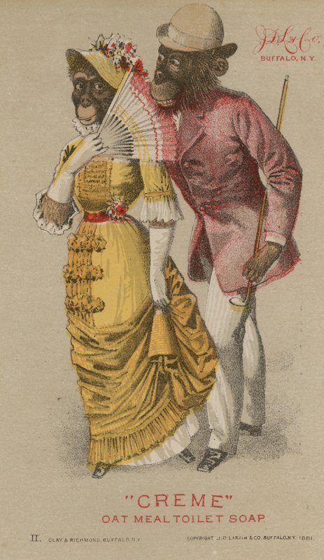 Chimpanzés en vêtements à la mode - French School