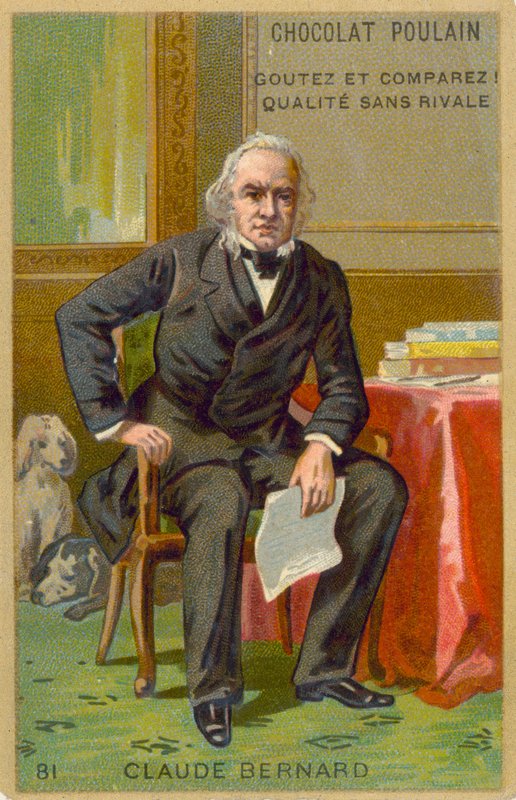 Claude Bernard, physiologiste français - French School