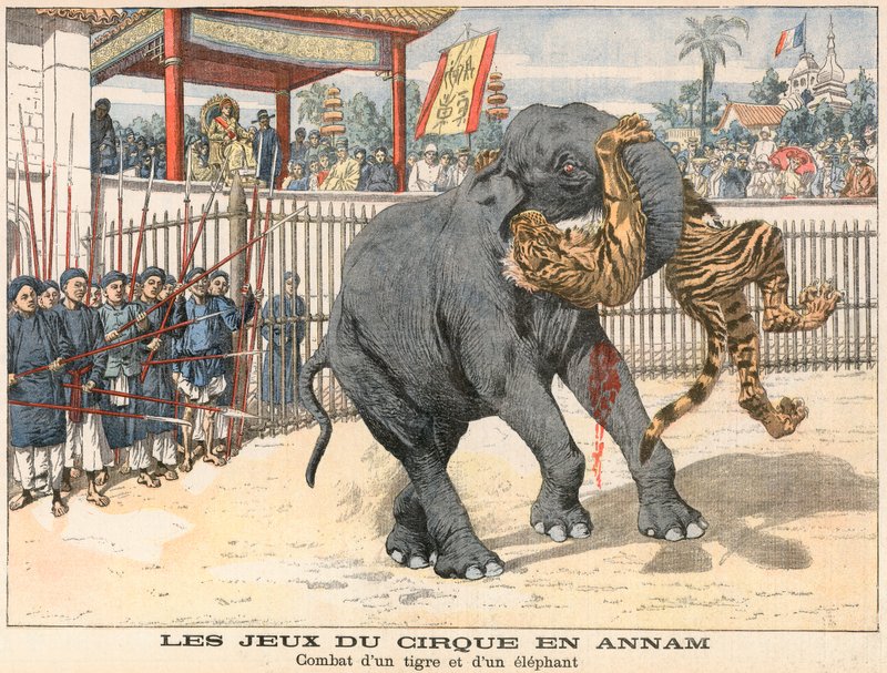 Combat entre un tigre et un éléphant - French School