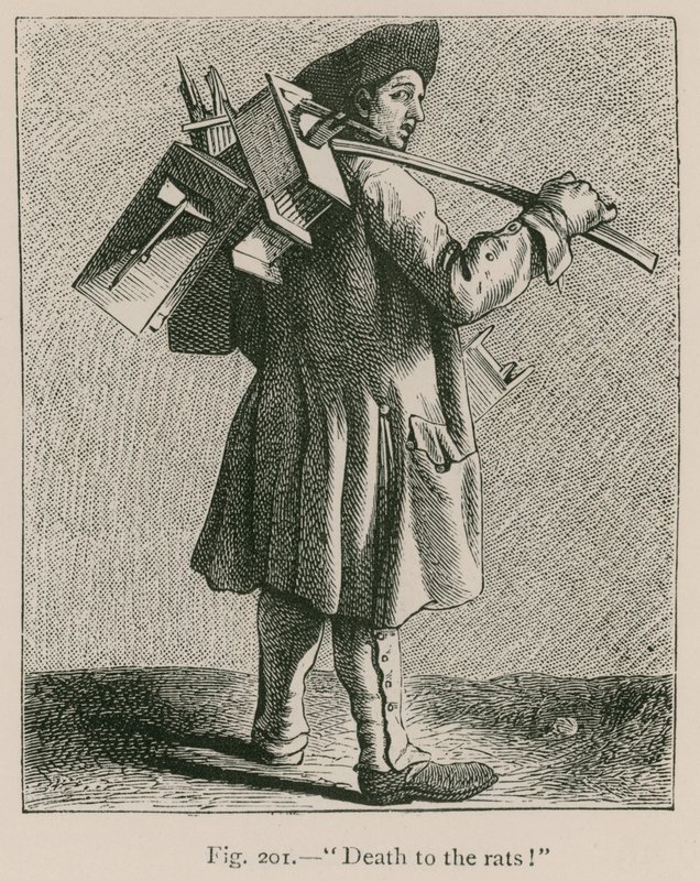 Mort aux rats! - French School