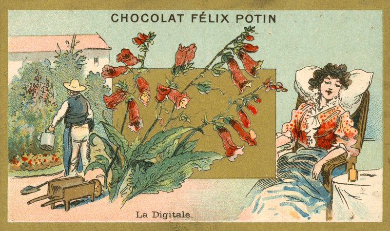 Digitale - French School