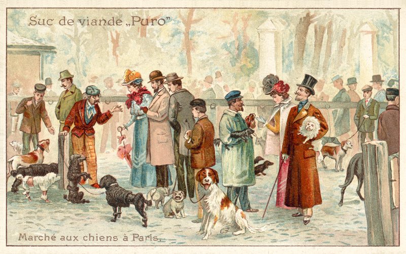 Marché aux chiens, Paris - French School