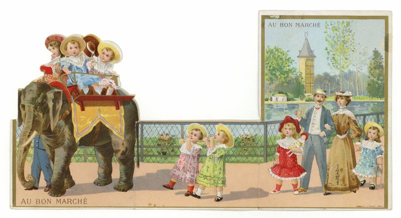 Balades en éléphant dans le parc - French School