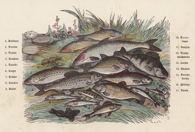 Poisson - French School