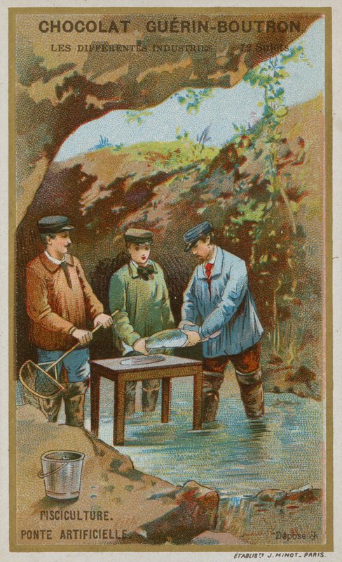 Pisciculture - French School