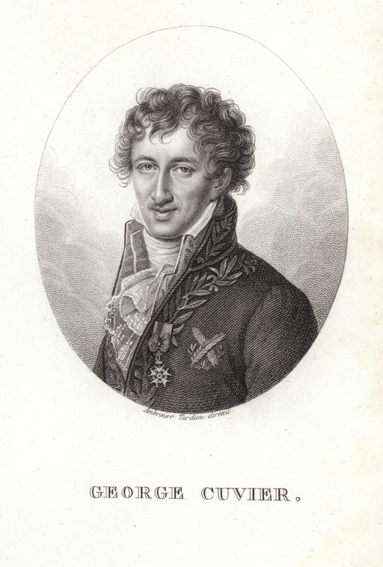 George Cuvier - French School